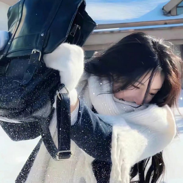 三凤震武林